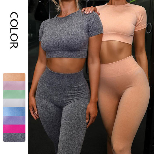 Seamless Yoga Sport Set Fitness Women Running Leggings Short Sleeve Tops trendy