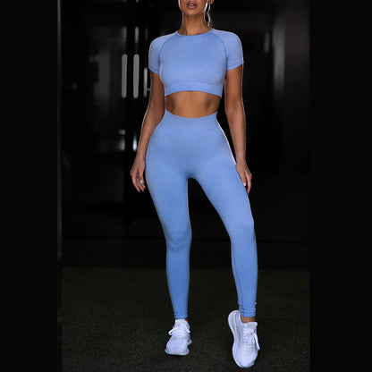 Seamless Yoga Sport Set Fitness Women Running Leggings Short Sleeve Tops trendy